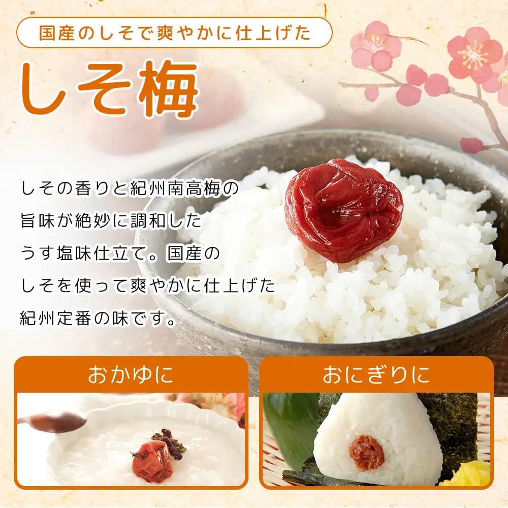 紀州南高梅 口熊野 ご家庭用 1kg しそ梅 塩分約12％