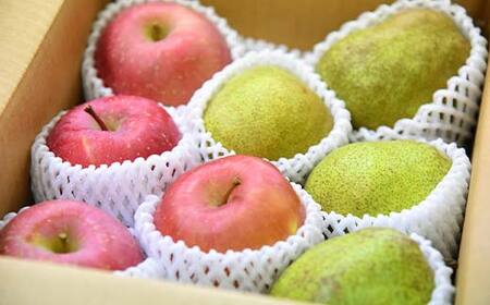 りんご サンふじ ＆ 洋なし ラ・フランス セット 3kg 秀品 ギフト箱入り 山形県産 【令和8年度 先行予約】 FSY-1390