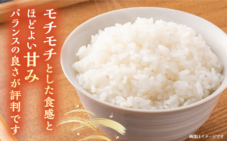 壱岐産 こしひかり 5kg《壱岐市》【壱岐市農業協同組合】[JBO147] 米 お米