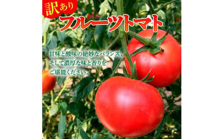 フルーツトマト 訳あり 3kg 大小混合 3キロ トマト とまと ふるーつとまと 高知 桃太郎 完熟 糖度8度以上 濃厚 野菜 料理 サラダ マリネ おいしい 新鮮 訳アリ【池トマト】 [BQAG054]