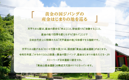 日本初の産金地・天平ろまん館本気採り砂金採り体験60分コースペア券【wakuyakousya007】