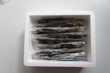 【先行予約】八戸川 天然鮎（0.5kg）＜2026年6月10日よりお届け＞【192_2003】