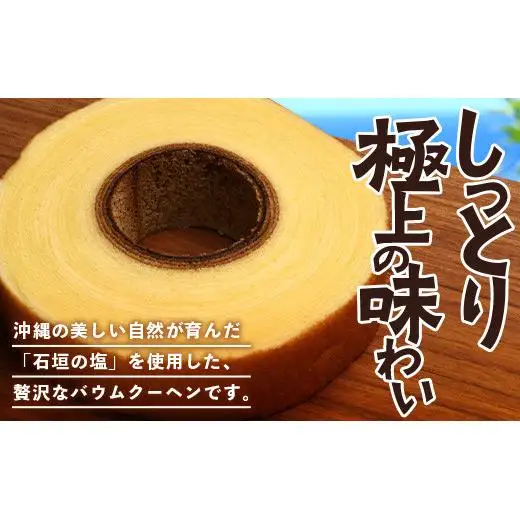 やし屋手作り 石垣の塩 バウムクーヘン　直径15cm以上×2箱