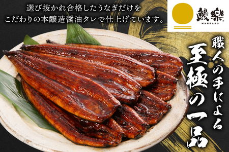 うなぎ ハーブ うなぎ蒲焼 計 1kg 以上 6～8尾 タレ 山椒 付き [鰻楽 宮崎県 日向市 452061198]