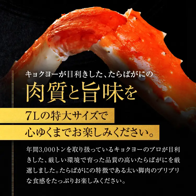 タラバ 脚 ボイル NET重量 1.1kg 7L シュリンク 数量限定 キョクヨー たらばがに タラバガニ たらば蟹 カニ 蟹 肩 足 魚介 海鮮 極洋カニ鍋 焼きガニ_AR005