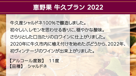 恵野果 牛久ブラン 2022 750ml×1本