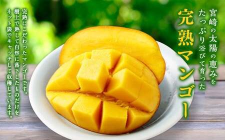 ＜宮崎県産完熟マンゴー 4L×2玉（約1kg）＞2026年4月中旬～7月下旬までに順次出荷【c1392_mm_x1】 果物 くだもの フルーツ アーウィン マンゴー デザート 甘味 完熟 宮崎