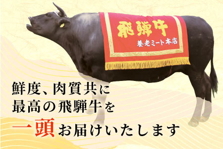 牛一頭まるごと千人前！ 飛騨牛 牛一頭 横綱セット 千人前 計197kg 一括配送 A5等級 すき焼き しゃぶしゃぶ ステーキ 焼肉 BBQ ランプ イチボ カイノミ サーロイン ヒレステーキ ロース 大容量 贅沢 飛騨 ブランド牛 牛肉 高級 贅沢 ご褒美 養老ミート