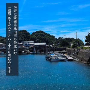 愛媛一棟貸し 風早邸海音 宿泊補助券 3万円分 | 30000円分 温泉 旅行 家族旅行 団体旅行 貸し切り 貸切 一棟貸 民泊トラベル チケット 宿泊 宿泊券 予約 観光 愛媛 松山 北条 人気 おすすめ 【MON002】