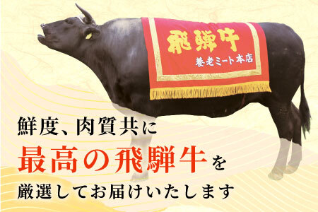 飛騨牛豪快50人前！ 飛騨牛 部位選別 関脇セット 五十人前 計9.75kg A5等級 すき焼き しゃぶしゃぶ ステーキ 焼肉 BBQ ヒレ サーロイン 肩ロース 三角バラ ソトバラ ランプ イチボ ウチモモ マル 贅沢 飛騨 ブランド牛 牛肉 高級 贅沢 ご褒美 養老ミート