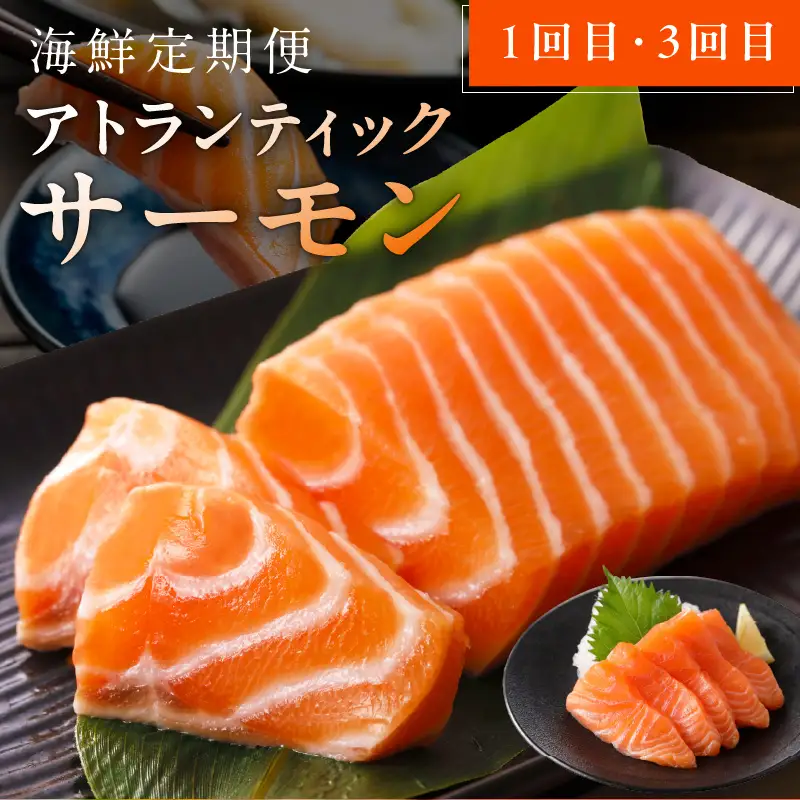 人気海鮮定期便 サーモン／真鯛 食べ比べ 全4回【毎月配送コース 小分け 訳あり 規格外 刺身 海鮮丼 人気 オススメ 冷凍】