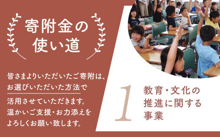 【返礼品なし】 佐賀県 江北町 ふるさと応援寄附金（10,000円分）【佐賀県江北町】[HZZ022]