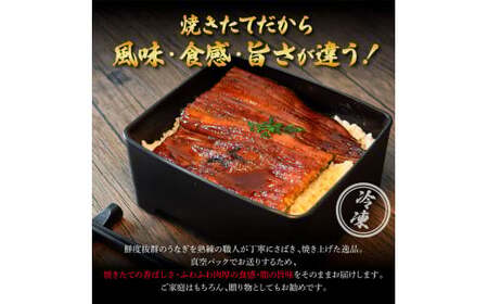特選うなぎの蒲焼き 2ヶ月定期便 約130g×2尾 タレ付き 山椒付き ヤマシン