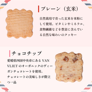 愛媛県産自然栽培米粉クッキー缶 22枚入り｜ 焼菓子 グルテンフリー クッキー スイーツ 米粉 オーガニック 手作り 無添加 スイーツ 愛媛県産 ヘルシー 愛媛県 松前町 【	KRU0011_jouon】