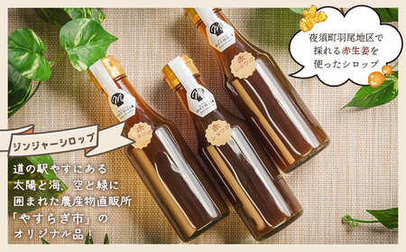 【定期便／年12回お届け】 香南市ジンジャーシロップ 生姜 (200ml)×5本セット 定期便  Wyr-0059