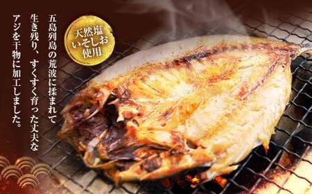 【全12回定期便】長崎産 真アジ一夜干し たっぷり21尾 ／ 海鮮 魚介 干物 ひもの あじ 鯵 アジ 長崎県 長崎市