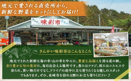 【全12回定期便】 農産物直売所おすすめ！ 旬野菜 セット 5～10品目 ／ やさい 旬 野菜 詰合せ 詰め合わせ 新鮮 産地直送 ふるさと おまかせ お楽しみ きんかい味彩市 長崎県 長崎市