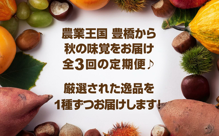 穂の国 秋の味覚定期便 3回 フルーツ 果物