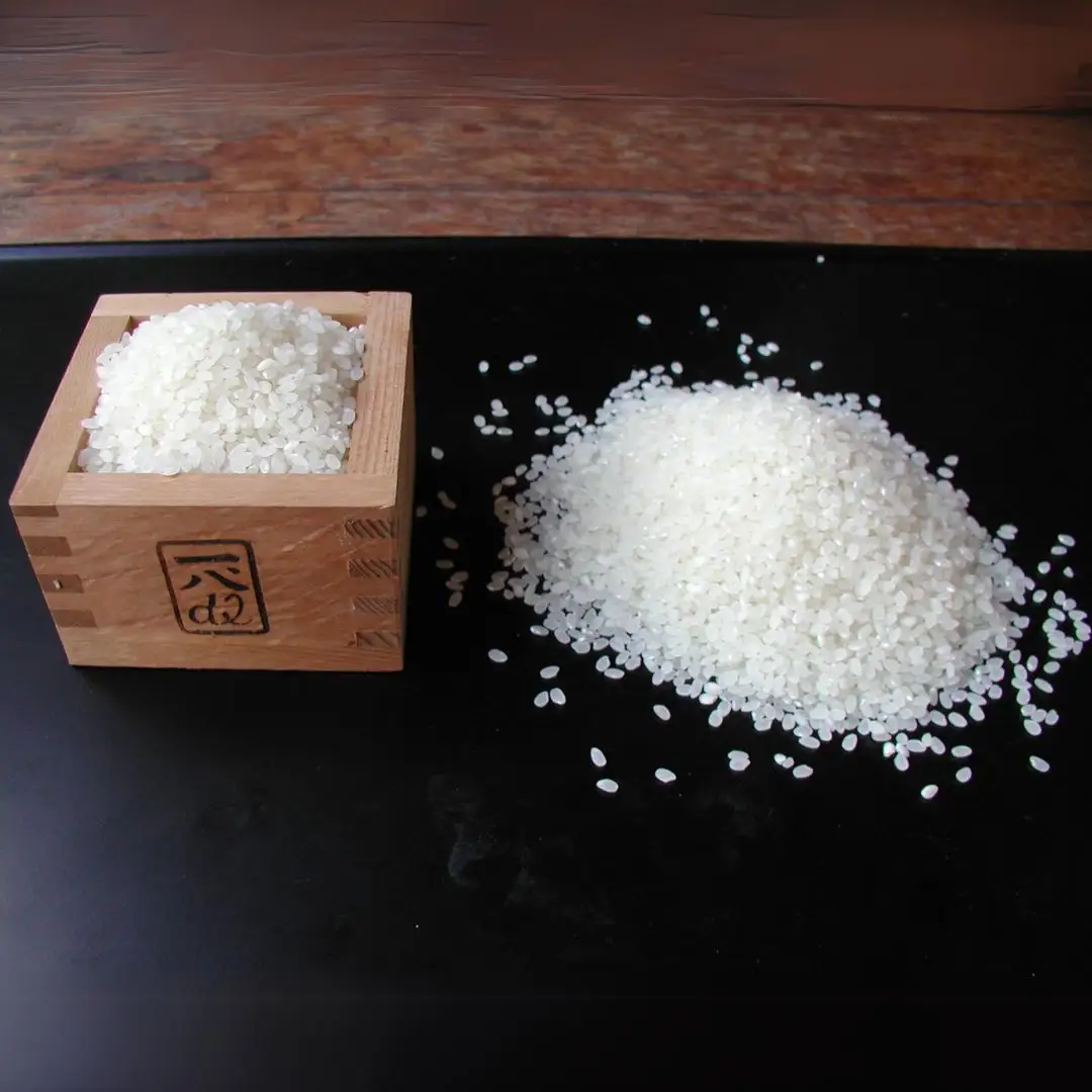 特別栽培米 コシヒカリ 新之助 各2kg 新潟県認証 食べ比べ  令和7年 コシヒカリ