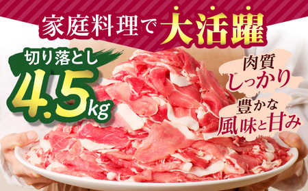宮崎県産豚肉 切り落とし4.5kg スライス 小分け 国産