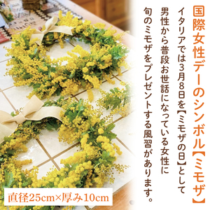 【先行予約】【2027年3月以降配送・数量限定】大きな木から作るミモザのリース（限定品）【インテリア おしゃれ 壁飾り プレゼント お花 ギフト ナチュラル アレンジ フラワーアレンジ 水戸市 水戸 茨城県】（KW-5）