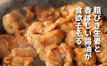 宮崎県産若鶏の生姜焼き 小分け 6㎏_K16_0133_1