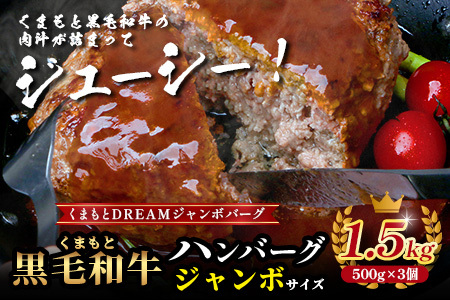 ビッグサイズ！くまもと 黒毛和牛 《 DREAMジャンボバーグ 500g×3パック 計1.5g 》 牛肉 100％ 国産 生 ボリューム ハンバーグ お祝い パーティ 熊本 ブランド牛 黒毛 和牛 上質 はんばーぐ 惣菜 熊本県 113-0509