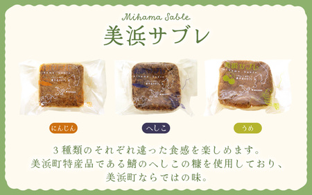 若狭ロマン美浜菓子 33個セット  【ギフト 母の日 父の日 こどもの日 敬老の日 プレゼント 和菓子 焼菓子  洋菓子 詰め合わせ セット 個包装 スイーツ お菓子 デザート】 [m02-b002]