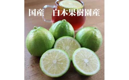 【先行予約】＜果樹園直送＞ 白木果樹園産 ベルガモット 約1kg 1キロ 5~8個入り〈2026年10月下旬?12月下旬頃発送〉  /  果物 くだもの 果実 柑橘類 柑橘 爽やか フレッシュ 新鮮 デトックスウォーター【白木果樹園】 [BQAI044]