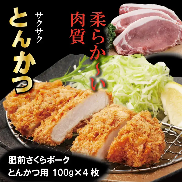 肥前さくら ポーク 切落し（500g）ロースとんかつ用（100g×4枚）バラ焼肉用（500g） B140-030