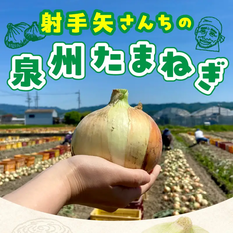 射手矢さんちの泉州たまねぎ 5kg