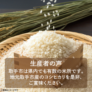 【令和7年度産】取手市産 コシヒカリ 7kg | 米 精米 白米 こしひかり JA 茨城県 取手市 （AR001）