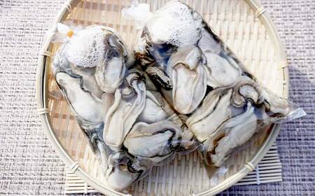 【産地直送】三陸山田産 剥き身 牡蠣 約500g×2パック 大福丸 岩手県 三陸山田 山田町 山田湾 三陸 海産品 かき カキ YD-724