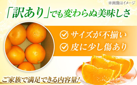 みかん 訳あり せとか 約3kg フルーツ 果物 みかん 訳あり BJBE002