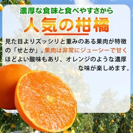 【ご家庭用訳あり】紀州和歌山産　せとか　約3kg【配送不可地域：離島】【1560349】