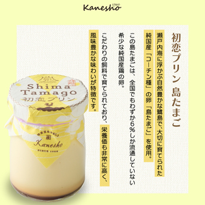 広島みはらプリン 3種類 6個セット たこのプディング・サレ　塩味の神明鶏のプディング・サレ　島たまごプリン かねしょう  スイーツ デザート 洋菓子 おやつ お菓子 菓子 ギフト 010004