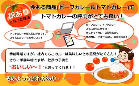とまとたっぷりカレー15袋 | カレー レトルト ふるさと清見 DC022