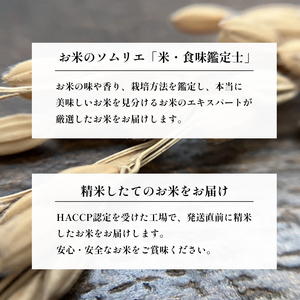 きぬひかり 5㎏ 精米 丹波産 HACCP認証