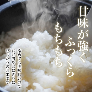 【令和7年産米】無洗米 奈良県産 ヒノヒカリ 5kg（5kg×1）／ 全農パールライス 米 お米 白米 国産 奈良県 葛城市 こめ コメ ライス ご飯 ごはん ふっくら もちもち つやつや おいしい 美味しい 贈り物 国産 特産品 産地直送 数量限定 人気 おすすめ 5キロ 【prr001A】