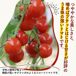 ミニトマト プチルージュ 約2.4kg トマト