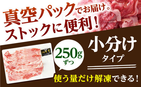 佐賀牛 A5 切り落とし(250g×2パック) HAD152 