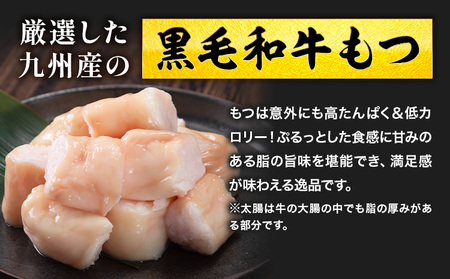 1本もつ鍋 (醤油味) 太腸編 1kg 入り《30日以内に出荷予定(土日祝除く)》もつ もつ鍋 醤油味 鍋 セット 詰め合わせ