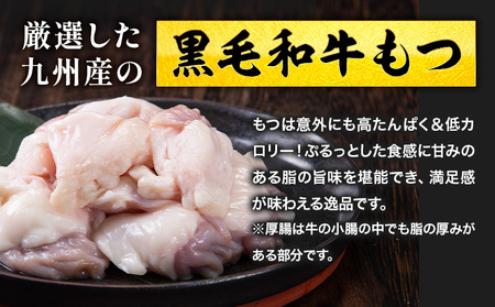 1本もつ鍋 (醤油味) 厚腸編 1kg 入り《30日以内に出荷予定(土日祝除く)》