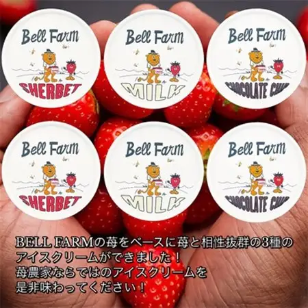 イチゴ農家のこだわり いちごアイスクリーム詰め合わせセット　Bell Farm(3種×2個)6個【配送不可地域：離島】【1082439】