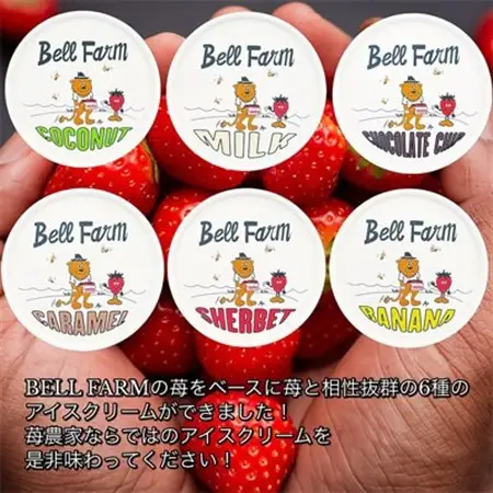 摘み立て苺アイス 人気のいちごアイスクリームセット　Bell Farm のこだわり 6個セット【配送不可地域：離島】【1133535】