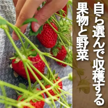 牧場アイス 季節のお勧め大人気6個セット【行木牧場のアイスクリームセット】しぼりたて牛乳で作りました【配送不可地域：離島】【1491605】