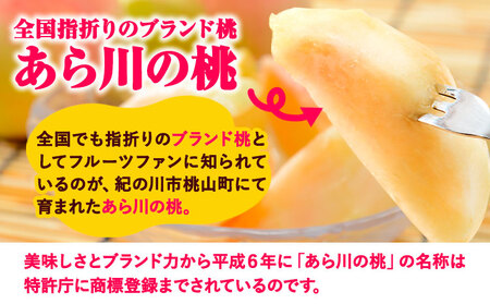 【先行予約】あら川の桃 約1.5kg (5-7玉) あら川第一桃生産組合《2026年6月下旬から8月下旬頃出荷》｜桃 もも モモ フルーツ 果物 白鳳 清水白桃 川中島白桃  和歌山県産の桃 紀の川市の桃 和歌山の桃