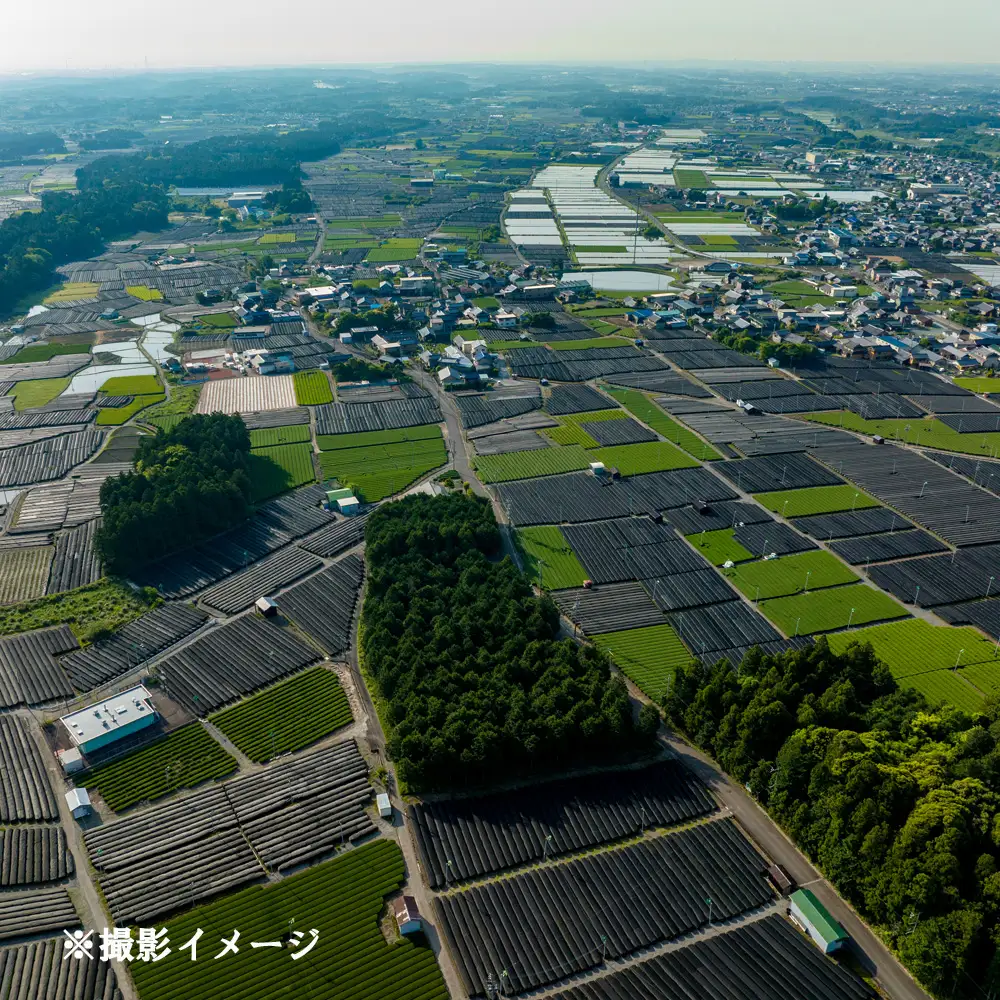 感動のドローン撮影体験 ！！ ドローン撮影コンテスト・グランプリ受賞者が、インストラクターとなって写真・動画撮影をサポートする、感動のドローン撮影体験（初心者歓迎 ）～水沢茶畑風景（ 1 組様）【ドローン ドローン撮影 ドローン撮影体験 体験 コンビナート夜景 夜景 グランプリ受賞 グランプリ 感動 動画 夜景遺産 日本夜景遺産 三重県 四日市市 四日市】