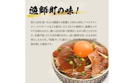 活き締めブリの醤油漬け丼 20パックセット 鰤 ぶり 漬け丼 漬け 丼 素 海鮮 醤油漬け 小分けパック まとめ買い お茶漬け 一人暮らし お取り寄せグルメ 海鮮丼【企業組合　宇佐もん工房】 [BQAB063]