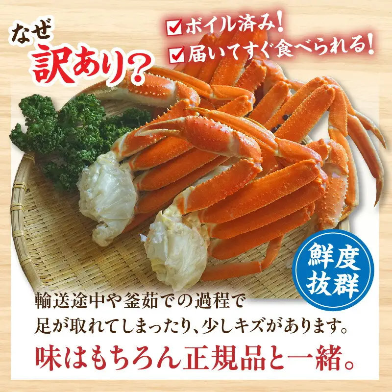 【訳あり】釜茹で 本ズワイガニ 2L 4肩 約1kg ズワイガニ【令和8年9月上旬以降発送予定】かに カニ  07-119
